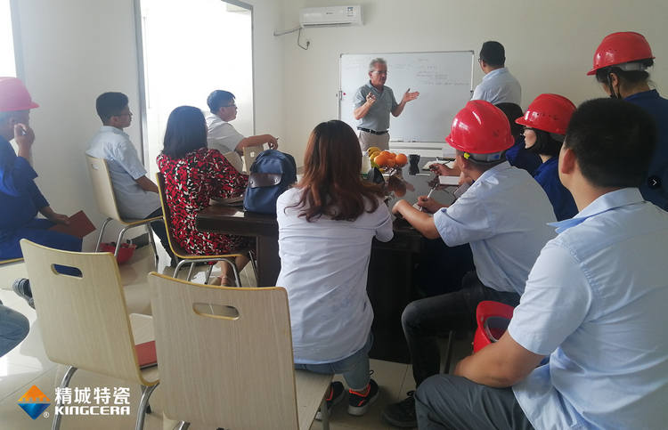 湖南Z6尊龙特邀意大利专家进行质量治理培训