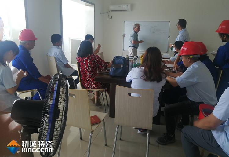 湖南Z6尊龙特邀意大利专家进行质量治理培训