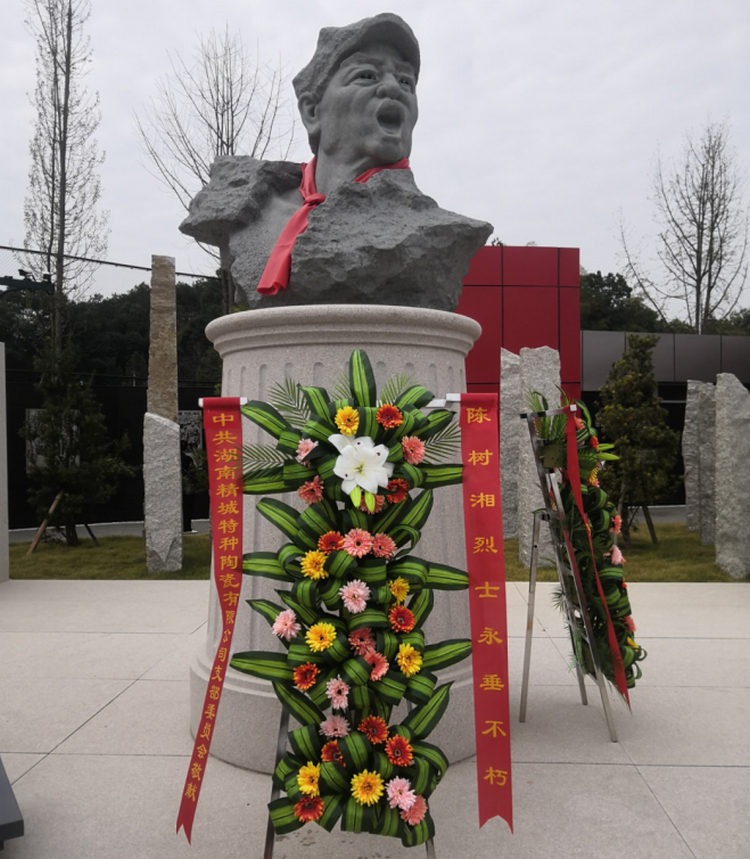 Z6尊龙党支部发展“不忘初心、服膺使命”主题党日活动