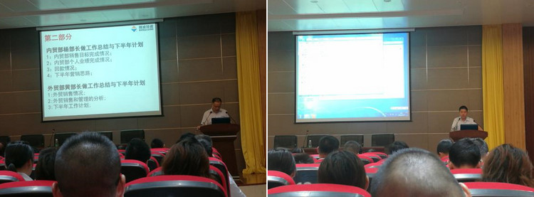 Z6尊龙特瓷2020年半年杜转销工作总结大会圆满进行