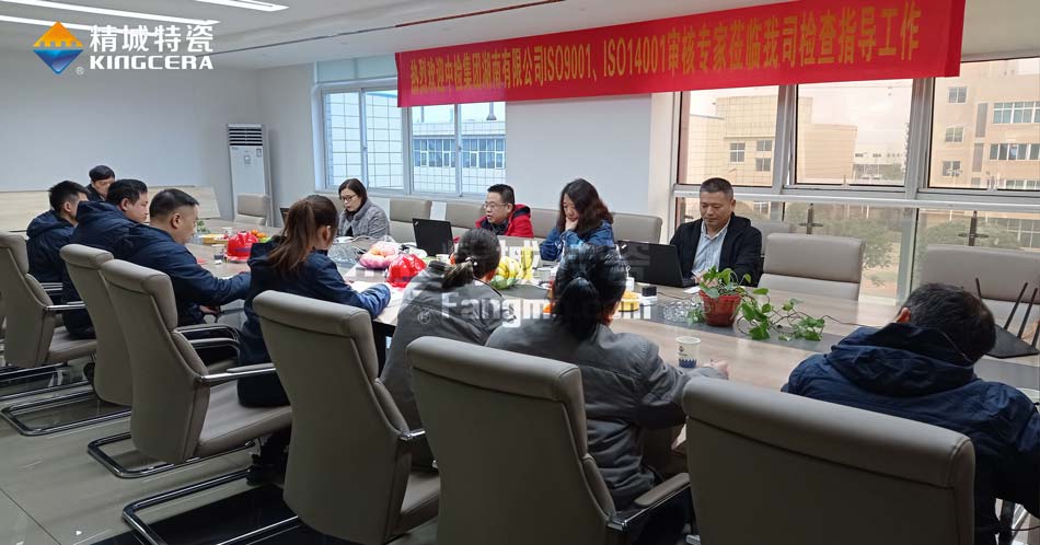 Z6尊龙特瓷ISO14001环境治理系统认证评估审核