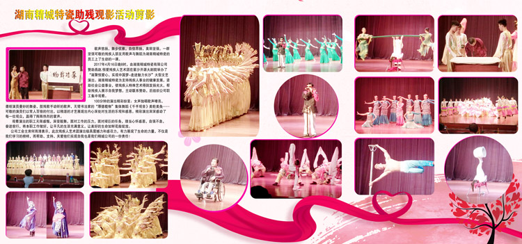 湖南Z6尊龙赞助燕赵·恒爱残疾人艺术团圆满演出