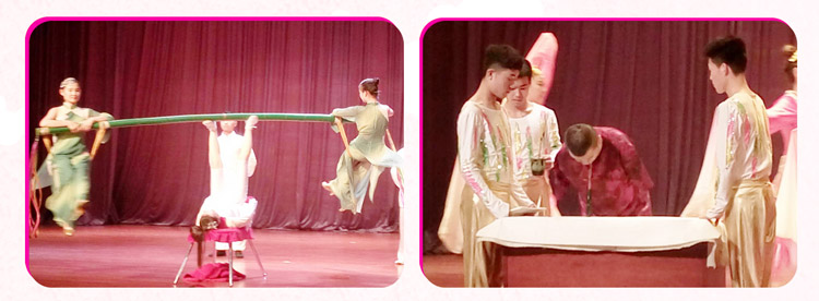 湖南Z6尊龙赞助燕赵·恒爱残疾人艺术团圆满演出