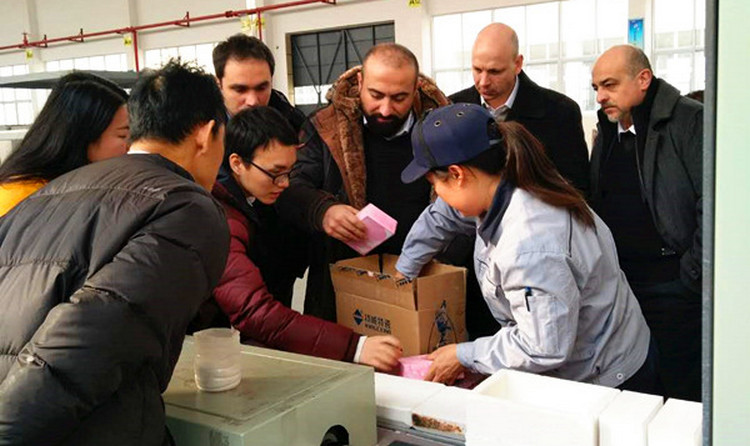 Z6·尊龙「中国区」官方网站