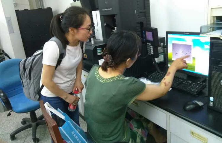 Z6·尊龙「中国区」官方网站