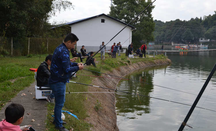 Z6·尊龙「中国区」官方网站